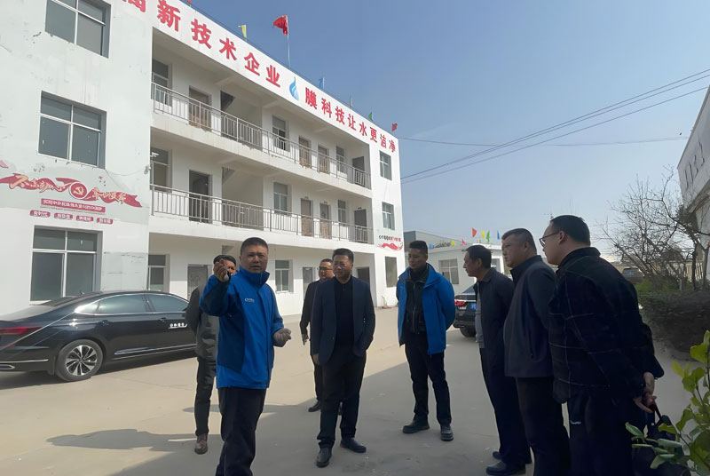 Leaders inspect and 